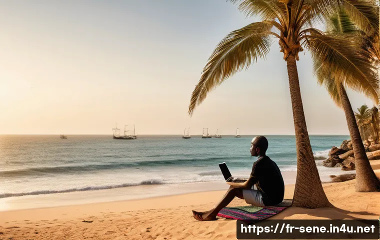 세네갈에서 인터넷 사용 가능 여부 관련 이미지 2